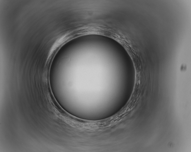 X0000091460004200708161531