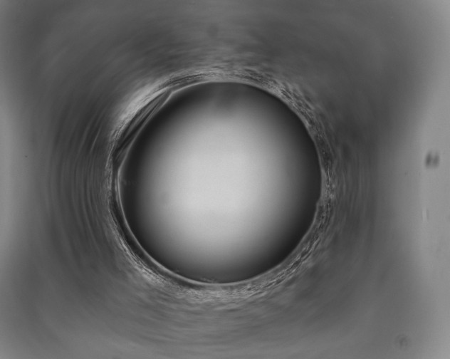 X0000091460005200708161531