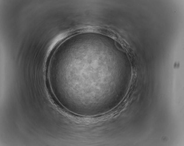 X0000091460006200708161531