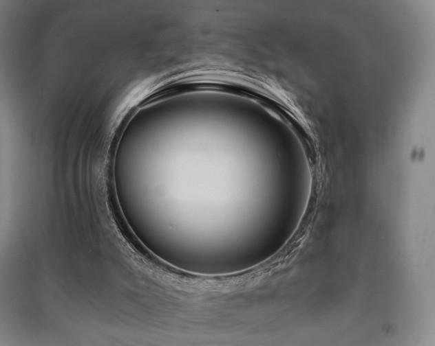 X0000091460007200708161531