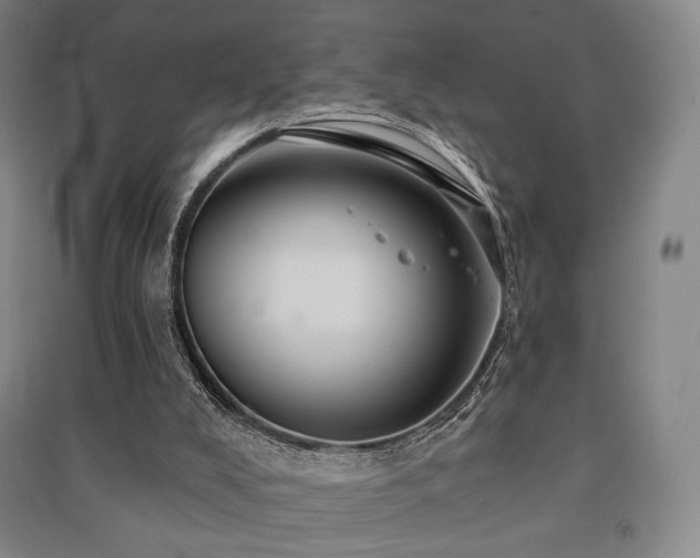 X0000091460008200708161531