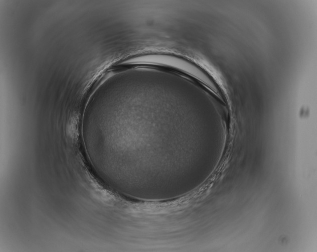X0000091460009200708161531