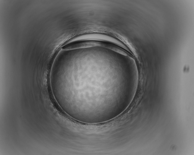 X0000091460010200708161531