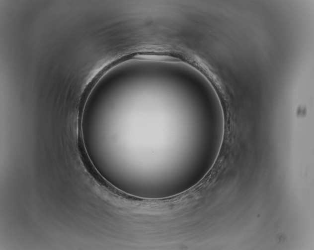X0000091460011200708161531