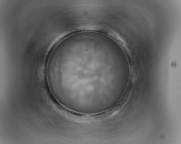 X0000091460012200708161531