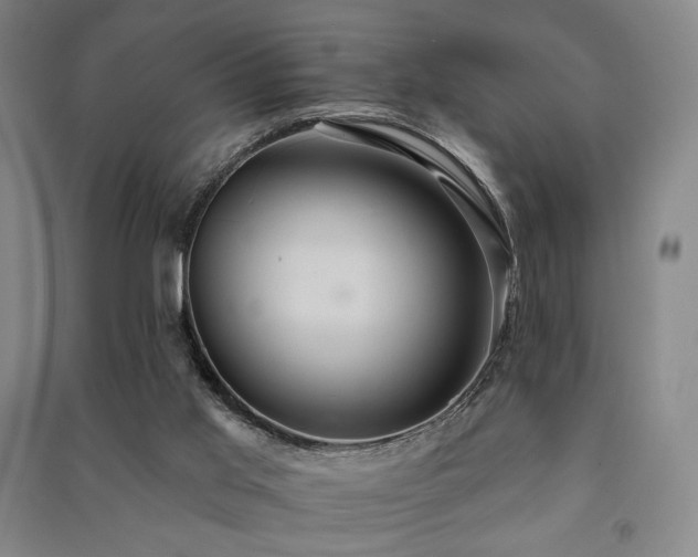 X0000091460013200708161531
