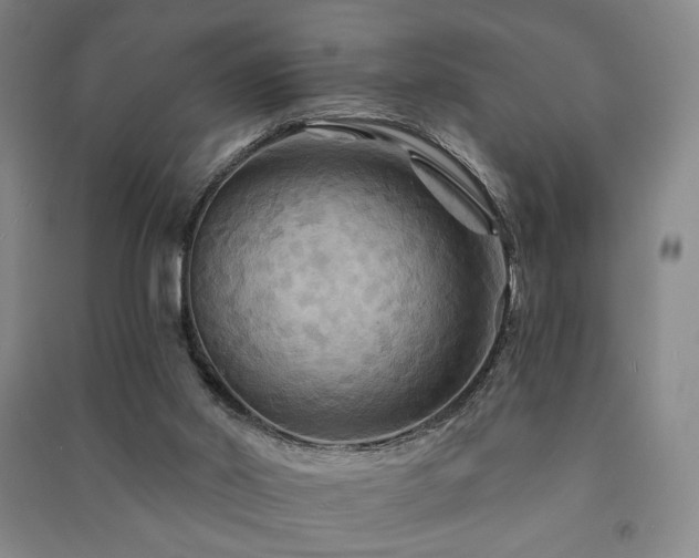 X0000091460014200708161531