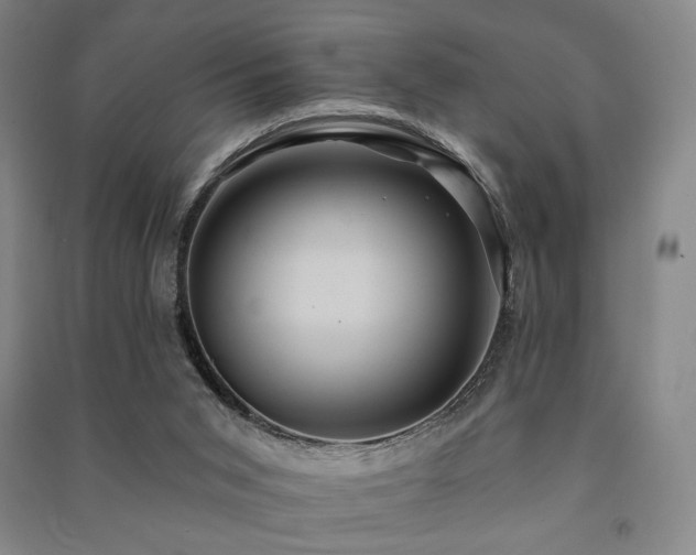 X0000091460015200708161531