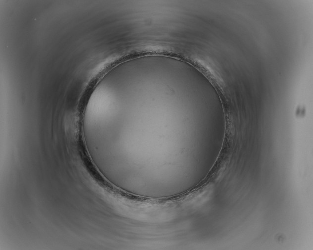 X0000091460016200708161531