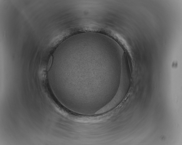 X0000091460017200708161531