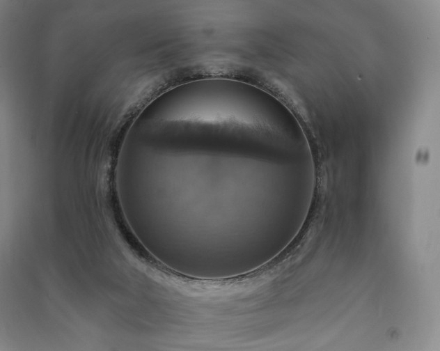 X0000091460018200708161531
