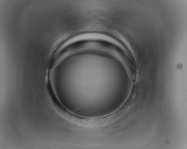 X0000091460019200708161531