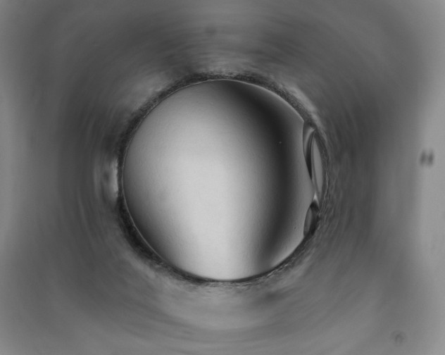X0000091460020200708161531
