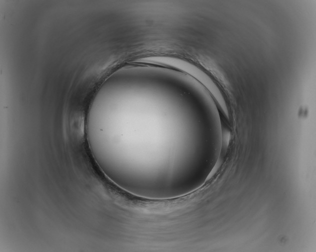 X0000091460021200708161531