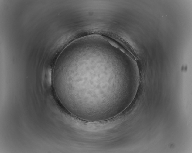 X0000091460022200708161531