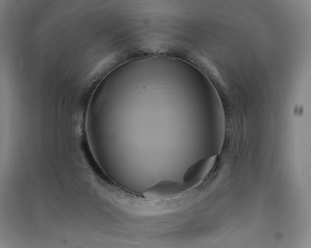 X0000091460023200708161531