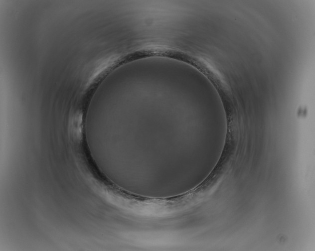 X0000091460024200708161531