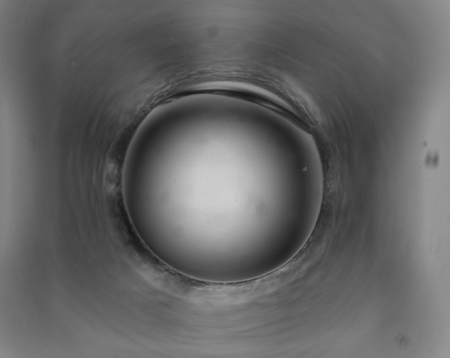 X0000091460025200708161531