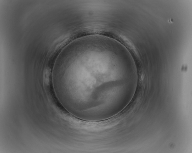 X0000091460026200708161531