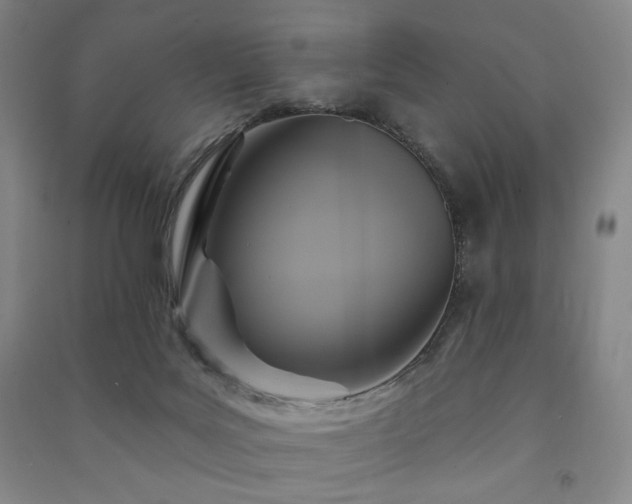 X0000091460027200708161531
