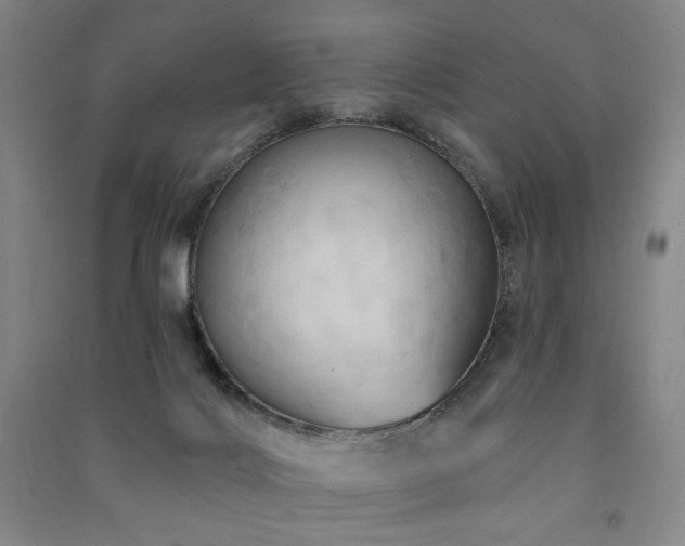X0000091460028200708161531