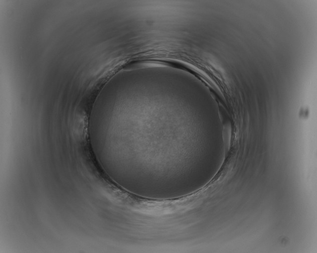 X0000091460029200708161531