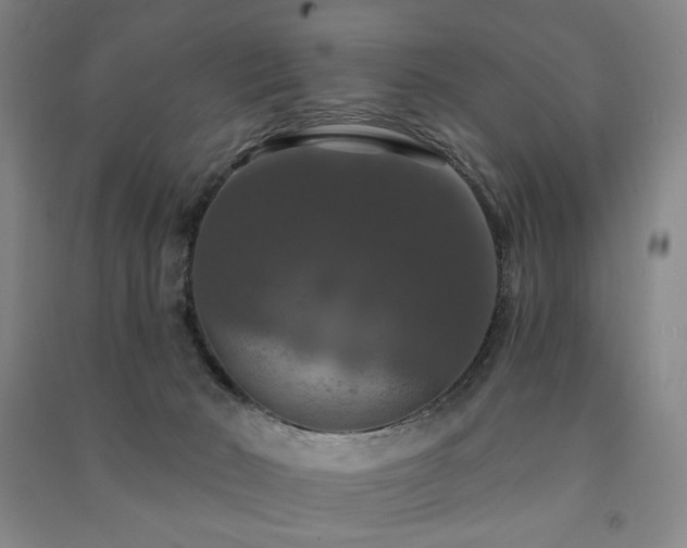 X0000091460030200708161531