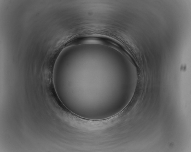X0000091460031200708161531
