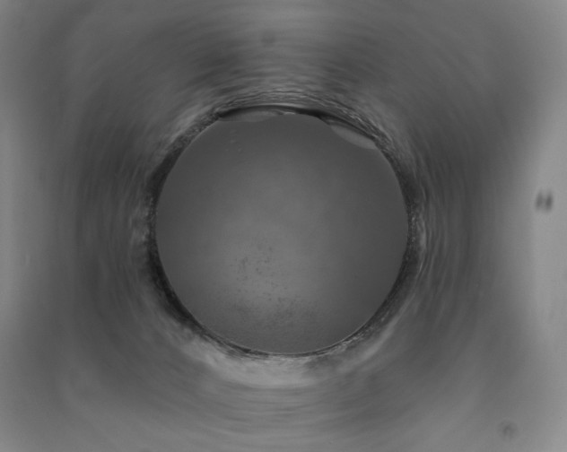 X0000091460032200708161531