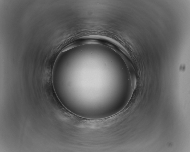 X0000091460033200708161531