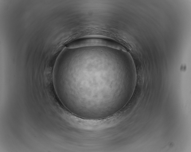 X0000091460034200708161531