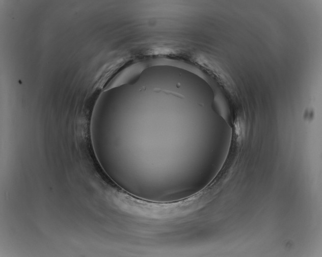 X0000091460035200708161531