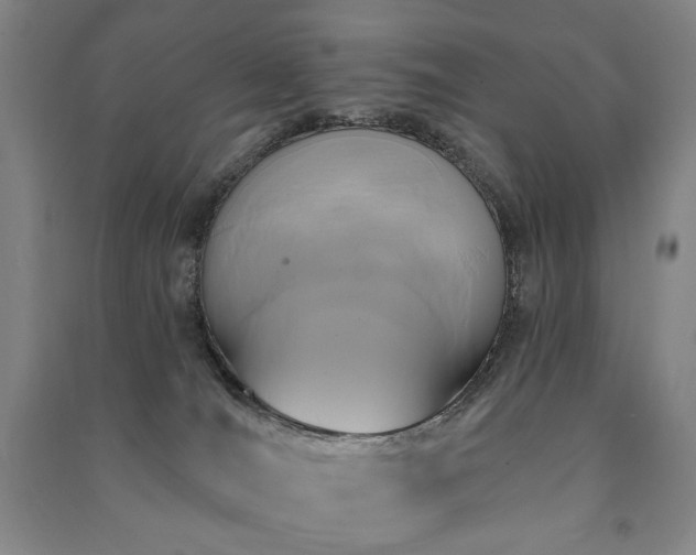 X0000091460036200708161531