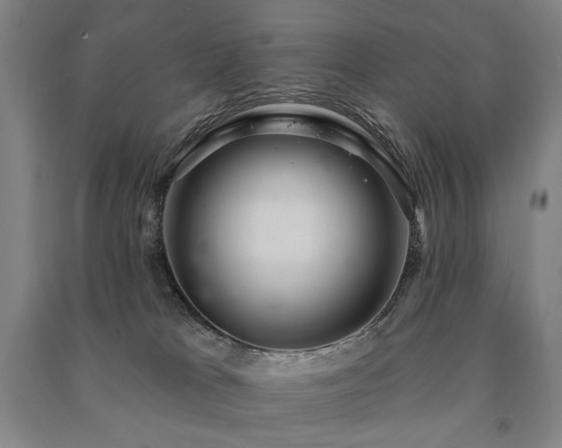 X0000091460037200708161531