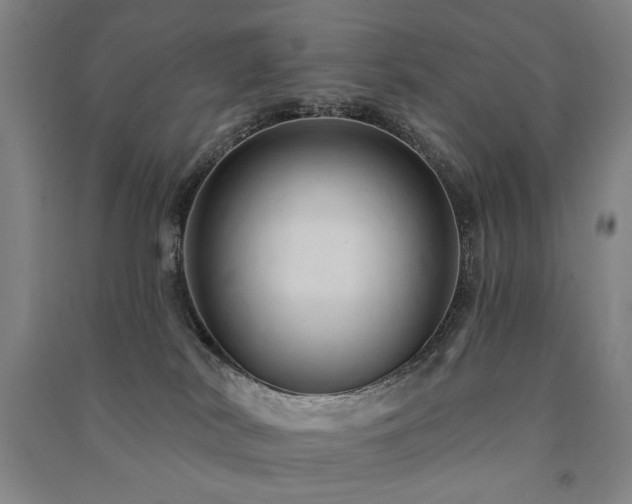 X0000091460038200708161531