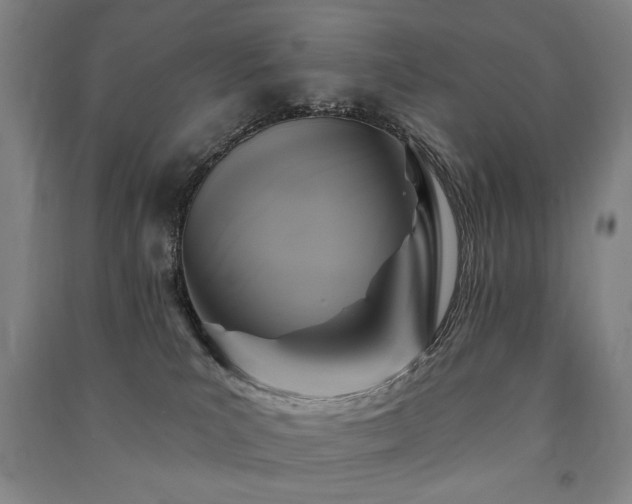 X0000091460039200708161531