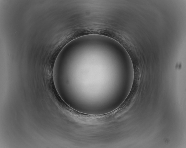 X0000091460040200708161531