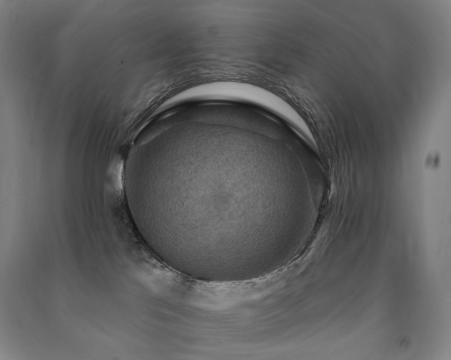X0000091460041200708161531