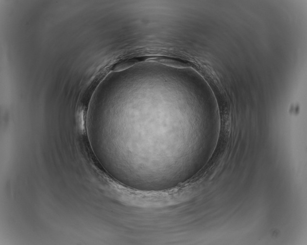 X0000091460042200708161531