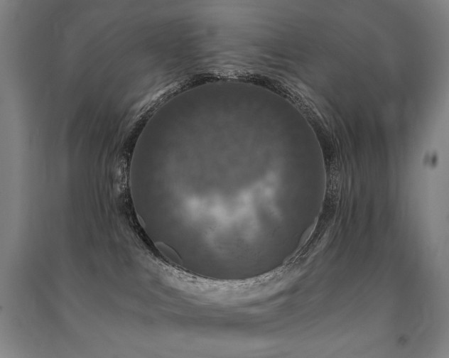 X0000091460043200708161531