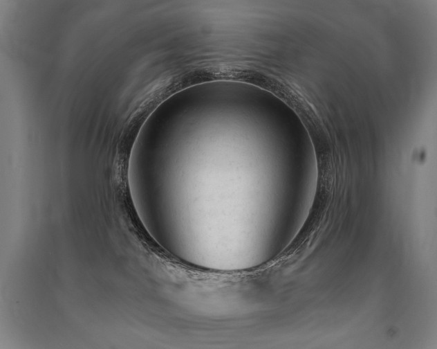X0000091460044200708161531
