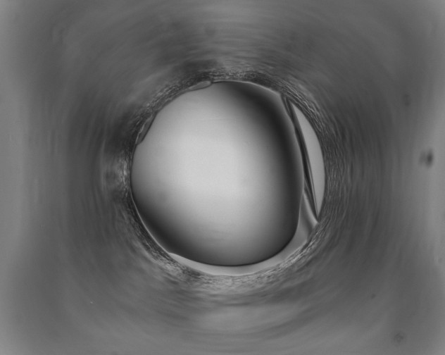 X0000091460045200708161531