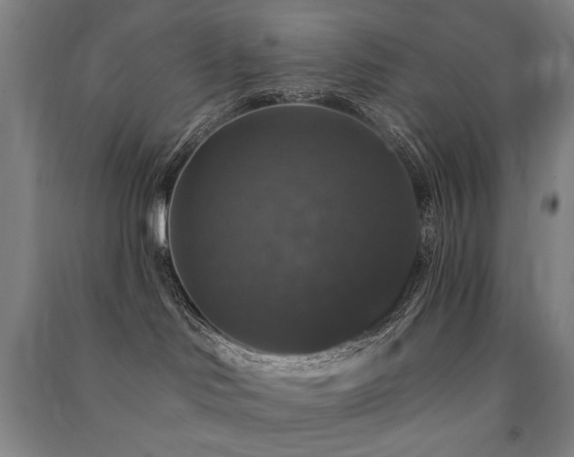 X0000091460046200708161531