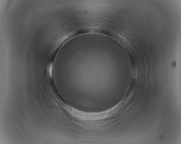 X0000091460047200708161531