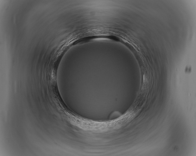 X0000091460048200708161531