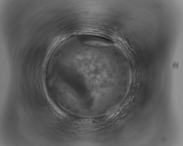 X0000091460049200708161530