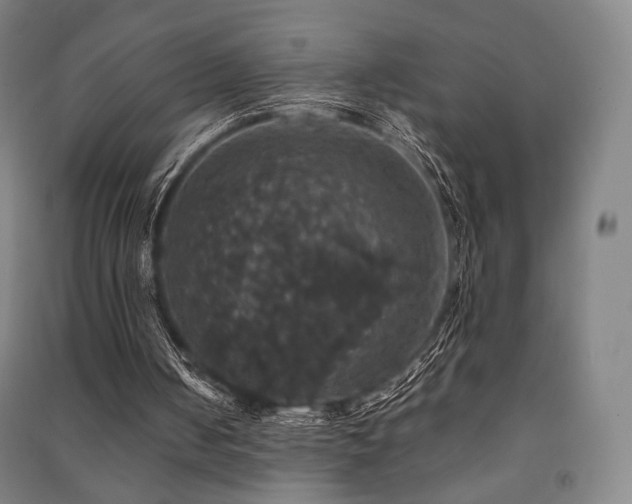 X0000091460050200708161530