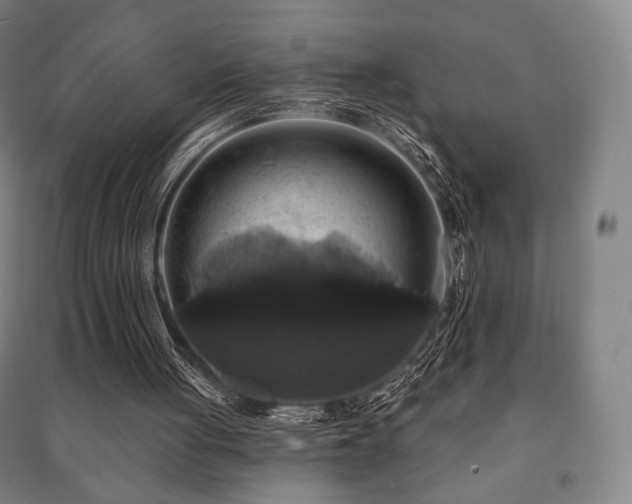X0000091460051200708161530