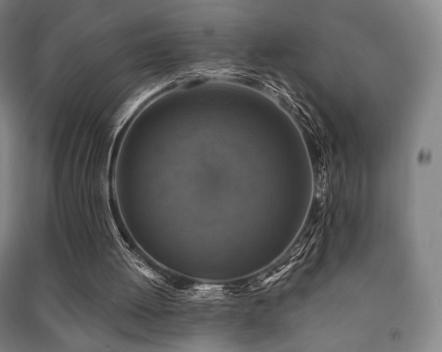 X0000091460052200708161530