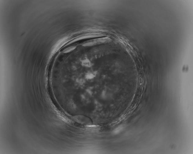 X0000091460053200708161530